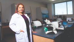 Dra. Dadilia Garcés. Dra. Dadilia Garcés.