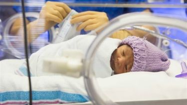 &nbsp;La incubadora y el métódo canguro en la superviivencia de los bebés prematuros.