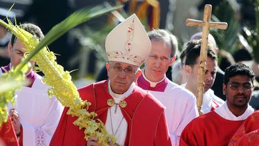 firme condena del papa francisco al terrorismo, en domingo de ramos