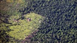 La imagen aérea en Murubila, Nicaragua, muestra la tala de árboles y el avance de la frontera agrícola que realizan colonos en tierras indígenas.