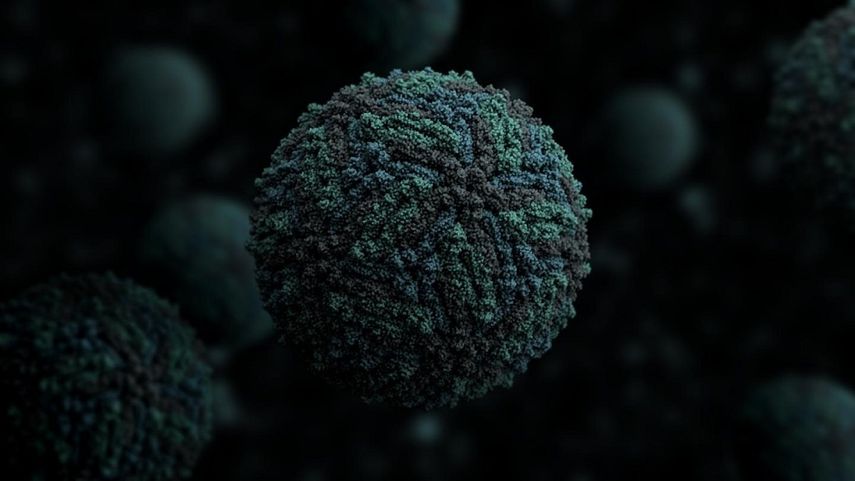 Virus del Zika.