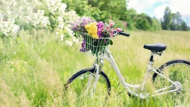 La primavera es cada vez más silenciosa en la naturaleza