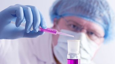 El término “inmunidad” deriva del latín “inmunis” que se traduce como “sin carga”, y que posteriormente, se interpretó como “sin enfermedad”. (Archivo)