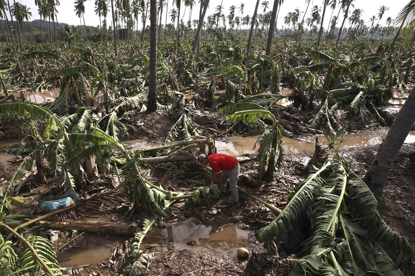 El secretario de Desarrollo Social, José Antonio Meade sostuvo que su dependencia ha desplegado desde el domingo brigadas de ayuda a 34 municipios de Jalisco, 10 en Colima y 14 en Michoacán y Nayarit, respectivamente. (EFE)
