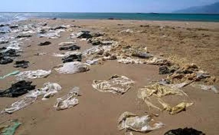 Muchas de las bolsas plásticas terminan en mares y ríos ocasionando una inmensa contaminación. (CORTESÍA.ecocalgrano)