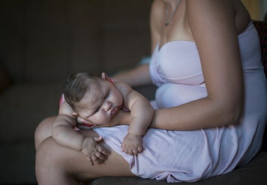 El Instituto Nacional de Salud (INS) informó recientemente que desde octubre pasado se han confirmado más de 70.000 casos de virus del zika, cuyo principal transmisor es el mosquito Aedes aegypti (CORTESÍA)