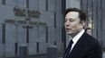 Elon Musk, el dueño de Tesla, SpaceX y Twitter, entre otras empresas.