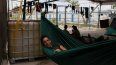 Un migrante descansa sobre su hamaca en un albergue el miércoles 16 de agosto de 2023, en Matamoros, México.&nbsp;