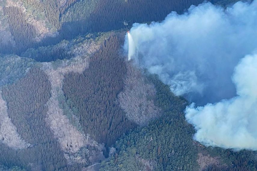 Esta fotografía, tomada el 28 de febrero de 2025 y recibida por la AFP del Ministerio de Defensa de Japón el 3 de marzo de 2025, muestra un helicóptero de la Fuerza de Autodefensa Terrestre arrojando agua mientras luchan contra un incendio forestal cerca de la ciudad de Ofunato, en la prefectura de Iwate.