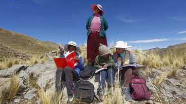 En esta foto de archivo tomada el 24 de julio de 2020, varios niños acompañados por su madre Raymunda Charca, en la cima de un cerro donde pueden captar la señal en su teléfonos móviles para recibir clases virtuales durante la pandemia del nuevo coronavirus COVID-19, cerca de su casa en la remota comunidad serrana de Conaviri, distrito de Manazo, en los Andes de Perú.