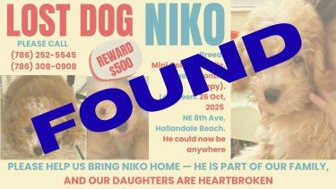 Niko apareció sano y salvo.&nbsp;