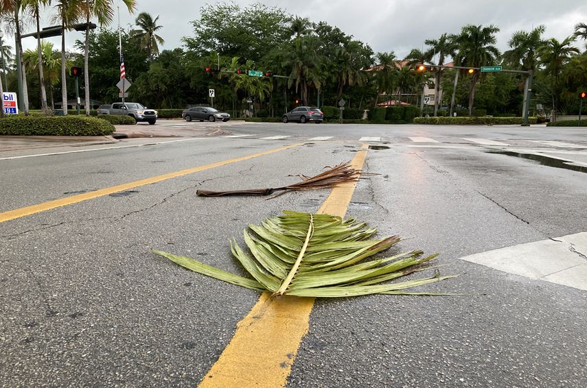 Sin&nbsp;da&ntilde;os materiales visibles, salvo un n&uacute;mero de penachos de palmeras que el viento adelant&oacute; su ca&iacute;da.