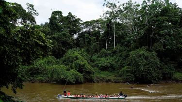 Migrantes venezolanos que se encaminan hacia el norte arriban a Lajas Blancas, provincia del Darién, Panamá, el viernes 6 de octubre de 2023, tras caminar a través del Tapón del Darién desde Colombia