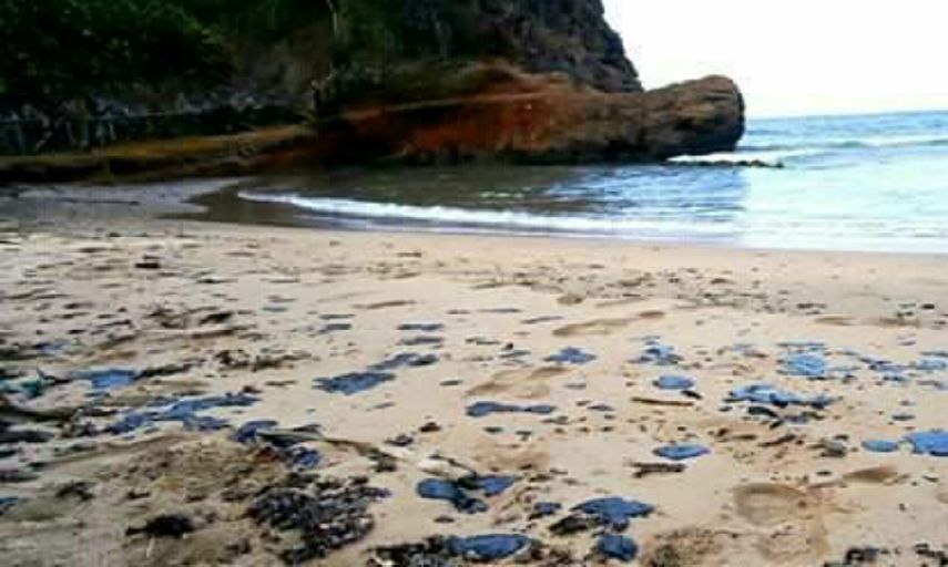 Pdvsa informó en un comunicado que había intensificado un Plan de Contingencia en la zona costera oriental del país, luego de que encontraran crudo en algunas playas del estado Sucre y Nueva Esparta.