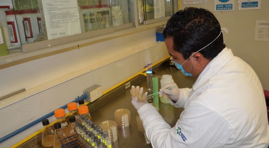 La farmacéutica nipona Takeda está desarrollando una vacuna contra el dengue cuya comercialización está prevista para 2017. (Foto: EFE)
