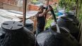 Un hombre llena recipientes de plástico con agua en el barrio La Vega de Caracas, el 9 de agosto de 2023. Las fallas crónicas de los servicios públicos en Venezuela provocan una privatización de facto, informal y caótica.&nbsp;