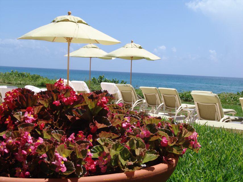 El hotel resort mira a las aguas del mar Caribe.