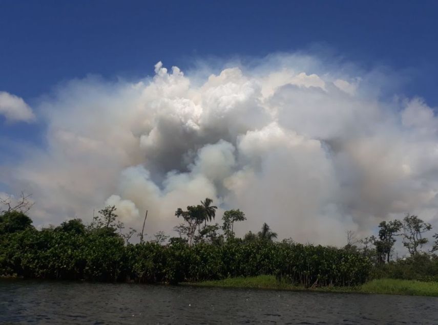 El incendio en la reserva Indio Maíz, situada en la frontera de Nicaragua con Costa Rica, una de las más importantes de Centroamérica, se desató el pasado martes.