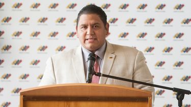 El rector principal del Consejo Nacional Electoral, Luis Emilio Rondón.&nbsp;