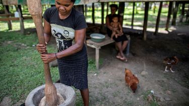 Una mujer ind&iacute;gena Miskita realiza el proceso de limpieza del arroz en la comunidad de Sangnilaya, Puerto Cabezas, Regi&oacute;n Aut&oacute;noma de la Costa Caribe Norte de Nicaragua, el 24 de septiembre de 2020.