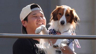 El astro japonés Shohei Ohtani junto a su perro mascota Decoy