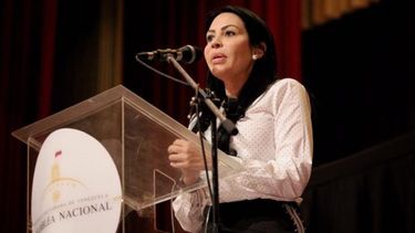 La diputada venezolana Delsa Solórzano.