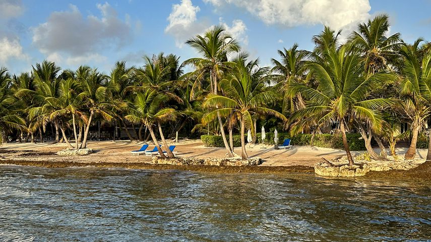 Reef Haven Belize, Ambergris Caye, Belize.