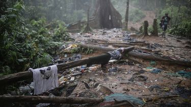 Selva del Darién.&nbsp;