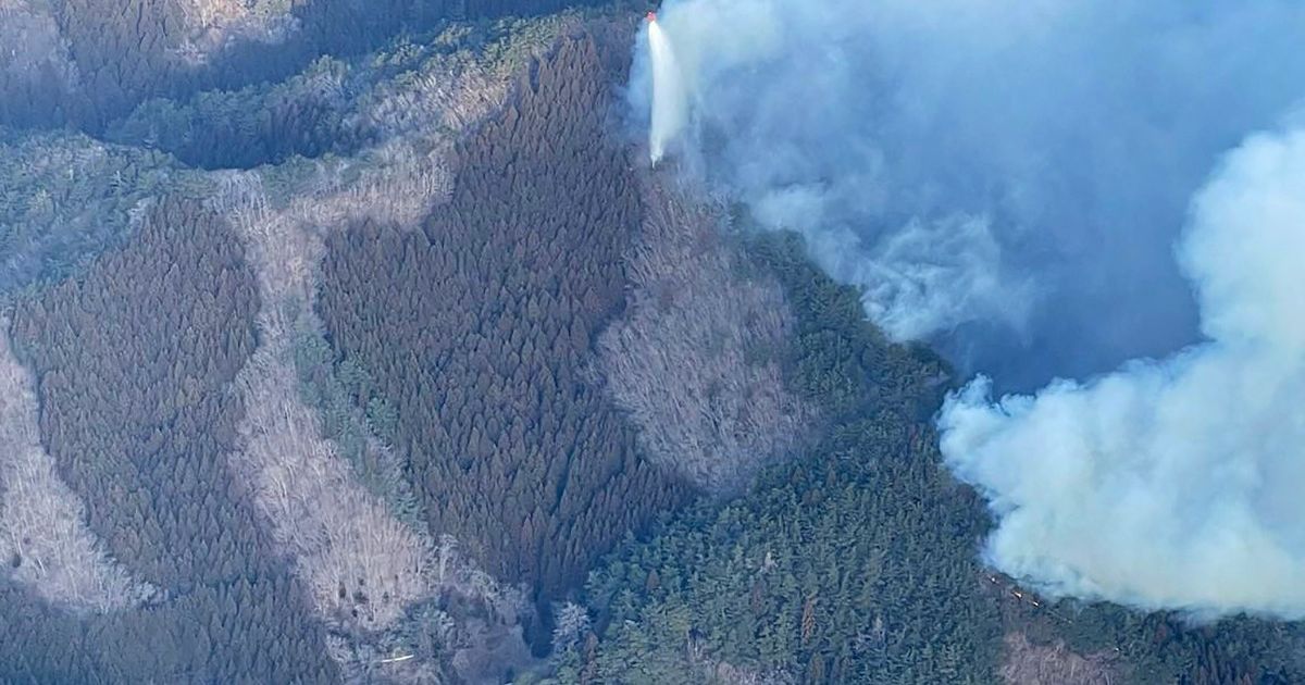 Japón enfrenta su peor incendio forestal en medio siglo