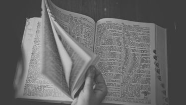 El Diccionario panhispánico de dudas señala que en el ámbito jurídico es preferible el uso del femenino la agravante, ya que se emplea como sinónimo de circunstancia agravante.