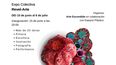 Córdoba presenta el evento artístico Revel-Arte, con 15 artistas de España, Chile y México.
