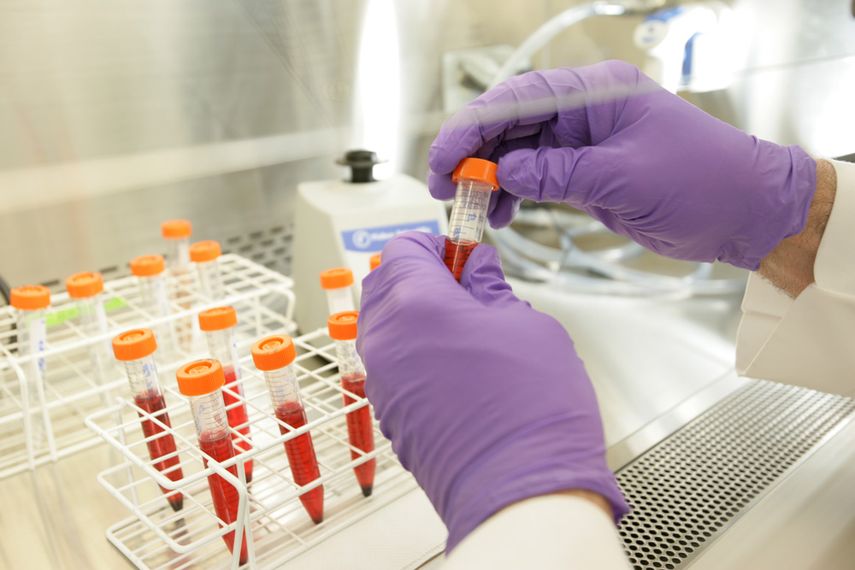 Según los resultados en laboratorio, el compendio medicinal podría estimular el sistema inmunológico. (ARCHIVO)