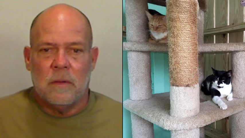 Patrick Francis Franey, de 60 años, enfrenta cargos por abuso animal.&nbsp;