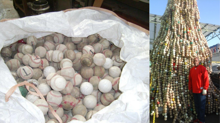 Tree of Hope: el árbol de la unidad y la diversidad a través del béisbol