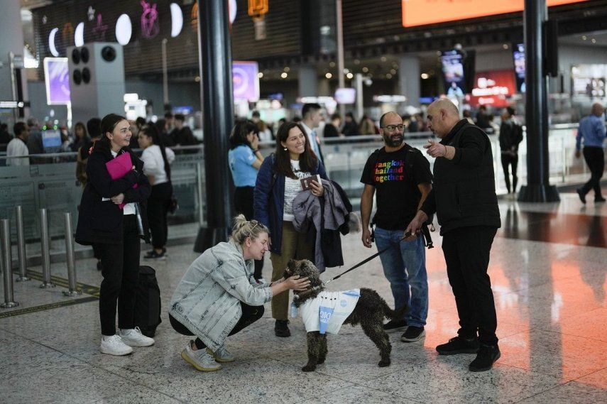 Una viajera acaricia a Kuki mientras pasea con su cuidador por el Aeropuerto de Estambul, en Turquía, el 3 de abril de 2024. El Aeropuerto de Estambul ha hecho cinco nuevas contrataciones para proporcionar una experiencia libre de estrés a los viajeros con ansiedad: perros de terapia siempre dispuestos a ofrecer su apoyo con mimos, caricias y besos.&nbsp;