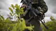 Colombia busca reducir cultivos de coca, pero sigue liderando producción de cocaína&nbsp;