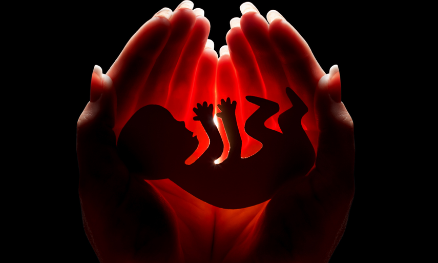 Cámara Baja de EEUU aprueba proyecto sobre derecho al aborto