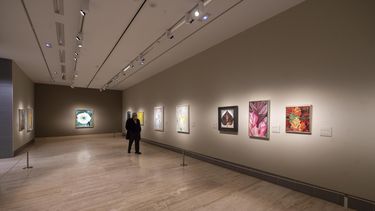 Una persona observa las obras que componen la retrospectiva de Georgia O’Keeffe (1887-1986), a 19 de abril de 2021, en el Museo Thyssen-Bornemisza, Madrid (España).