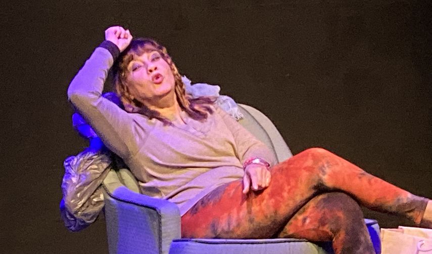 La vida en rosa,&nbsp; Marcia Arencibia-Henderson