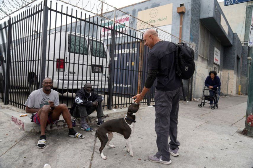 se permiten perros en los parques de chicago