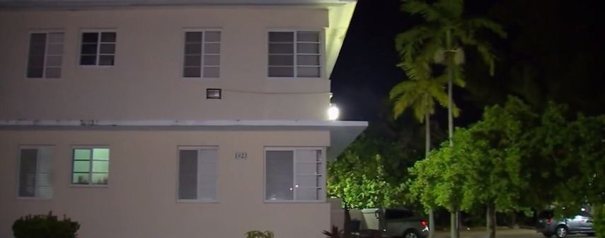 Moscas, cucarachas, mosquitos y termitas conviven y se adueñan del apartamento.