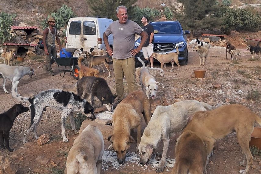 En esta fotografía proporcionada por Mashala Shelte en 2024, Hussein Hamza alimenta a perros en su refugio para animales en Kfour, en el sur del Líbano.&nbsp;