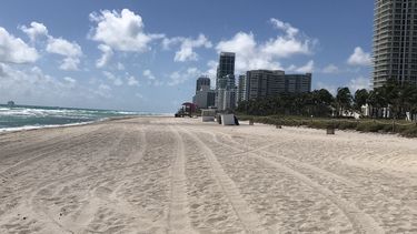 alcadia de miami beach ordena mantenerse en hogares
