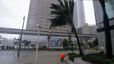 Diario las Américas | inundaciones Miami Biscayne Blvd EFE 2017.jpg
