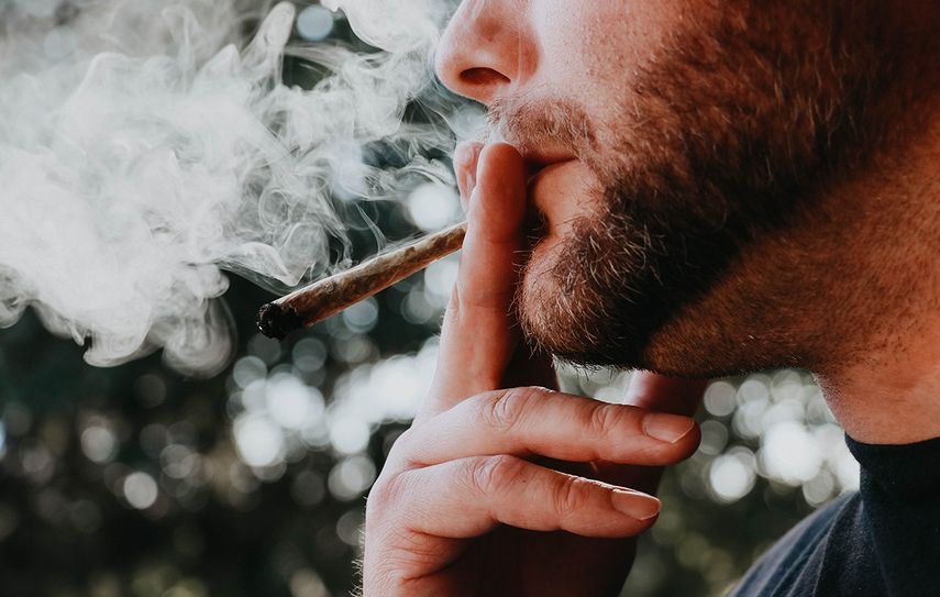 Marihuana medicinal o recreacional, polémica.
