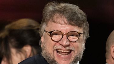 &nbsp;El director de cine mexicano&nbsp;Guillermo&nbsp;del&nbsp;Toro.