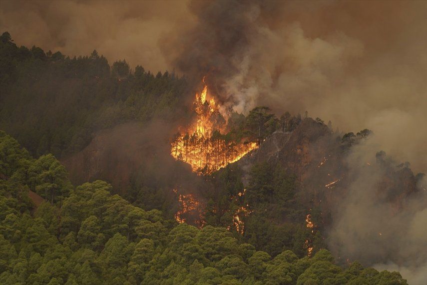 Incendio Sin Control En Tenerife Afecta A 7600 Personas 1426