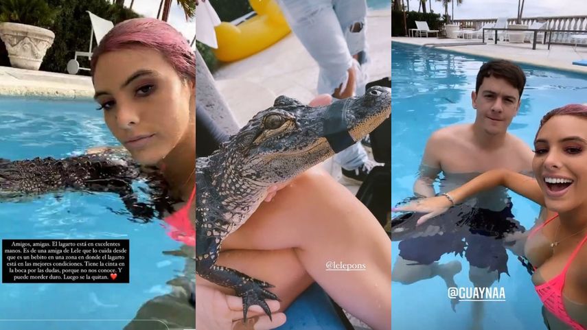 El cantante Guaynaa, novio de Lele Pons, también se vio involucrado en la polémica del pequeño cocodrilo.&nbsp;