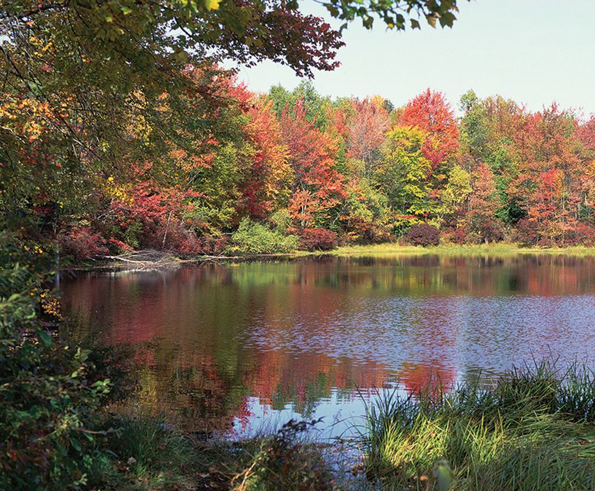 New Hampshire cuenta con impresionantes paisajes otoñales. (J. HDEZ.)