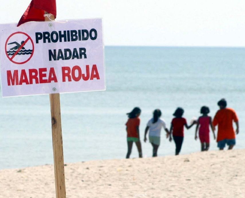 La marea roja, como se conoce a la contaminación por un microorganismo, se ha observado también en la costa del condado de Pinellas, algo más al norte, por tercera semana consecutiva.